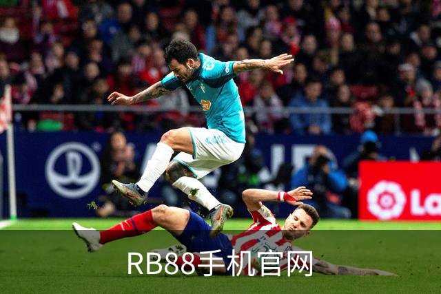RB88手机官网公司介绍
